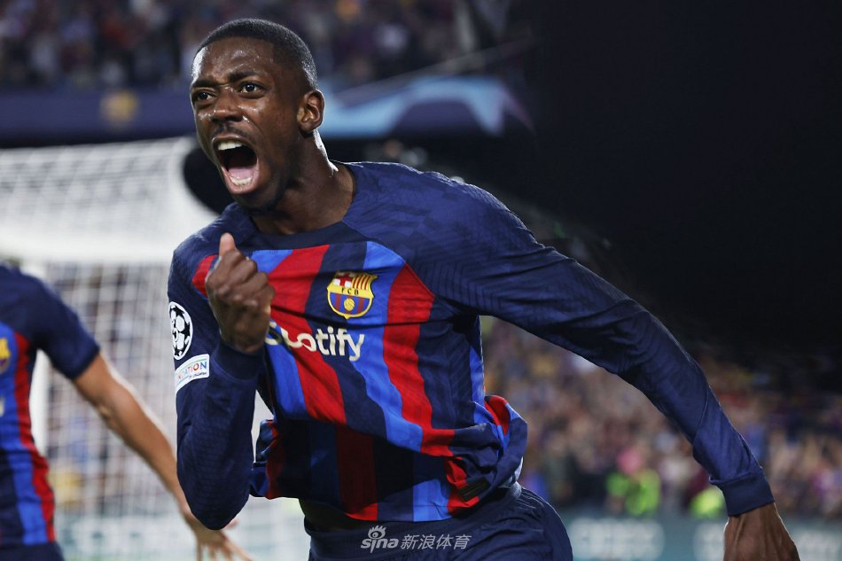 无疑是广大 无疑是广大