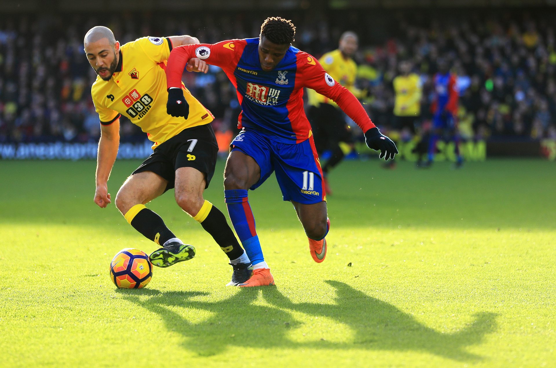 量训练与柔 量训练与柔